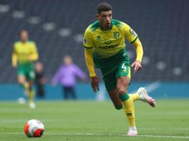 Norwich vs Southampton Free Betting Tips